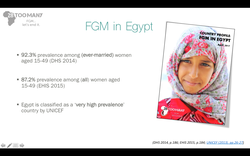Presentation: FGM in Egypt (2017, English)